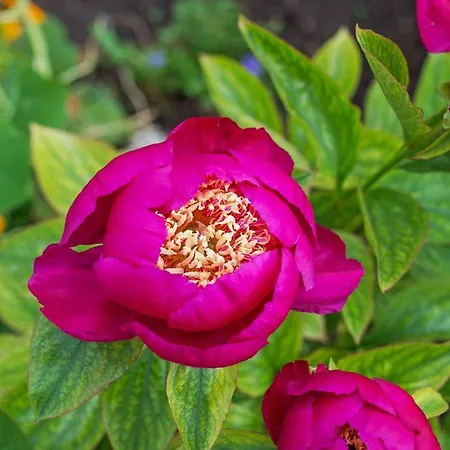 아파트호텔 Biriola Ecoresort 칼라고노네